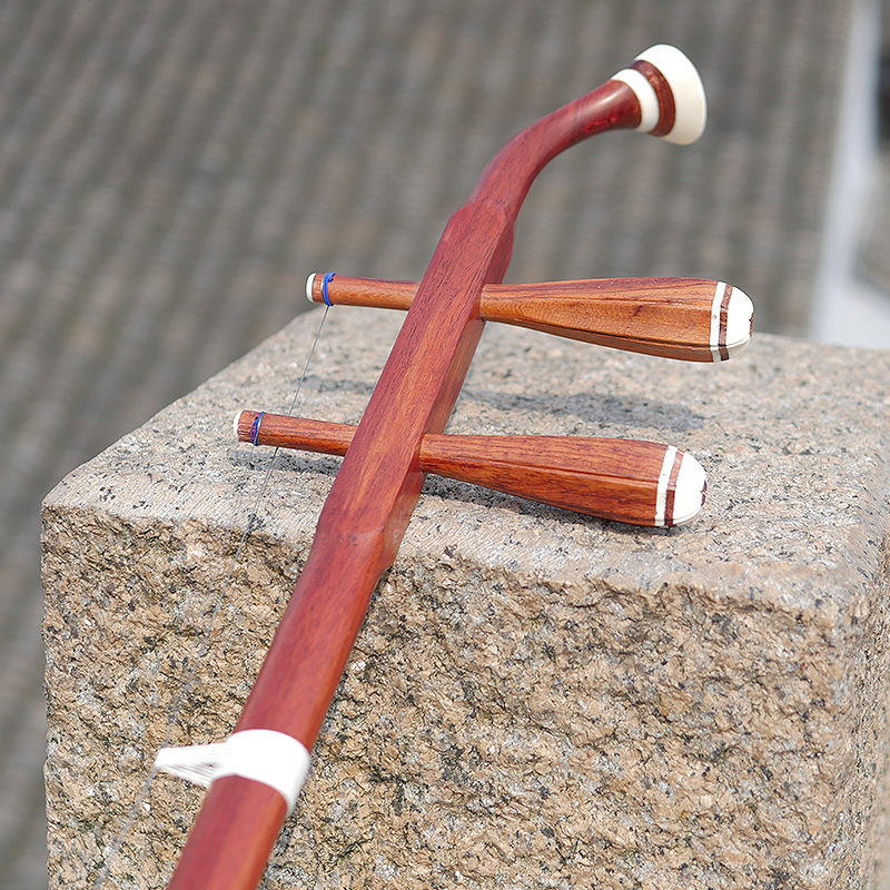 Dunhuang profissional marca 06 - Musical Instrument All avaliação e preço