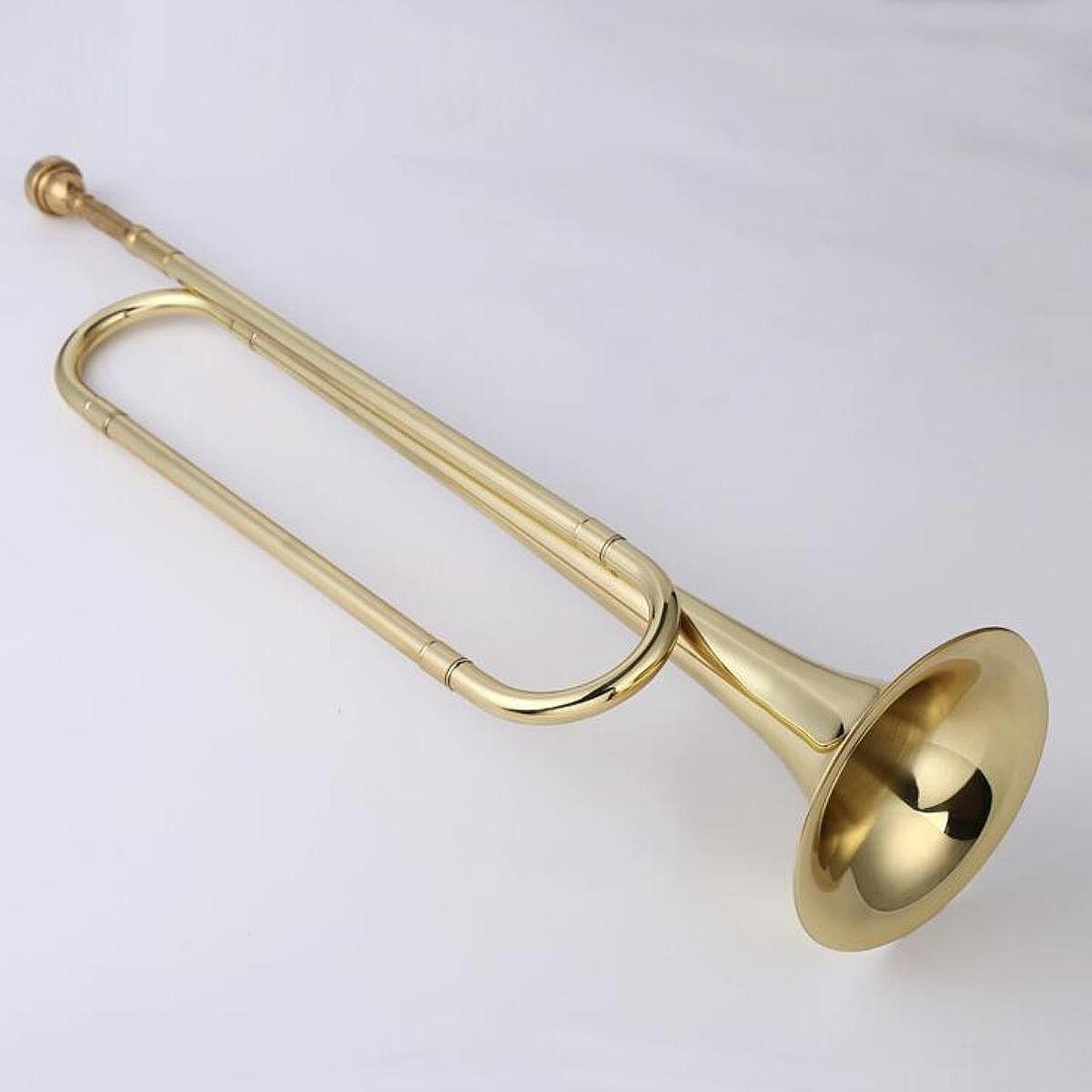 Corneta em Si Bemol para Joven - Musical Instrument Cornet avaliação e preço
